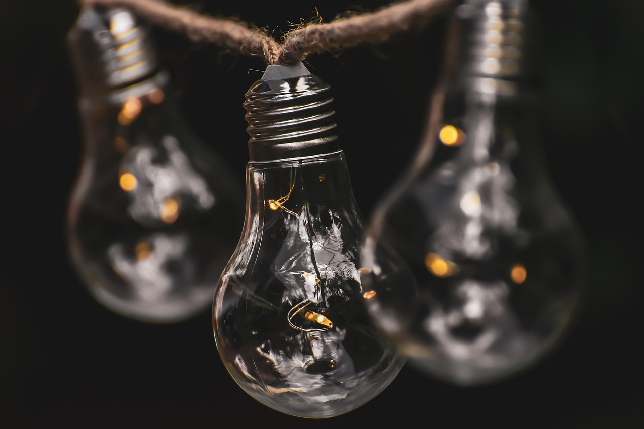 How to Support Green Initiatives in Your Community?